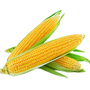 Corn